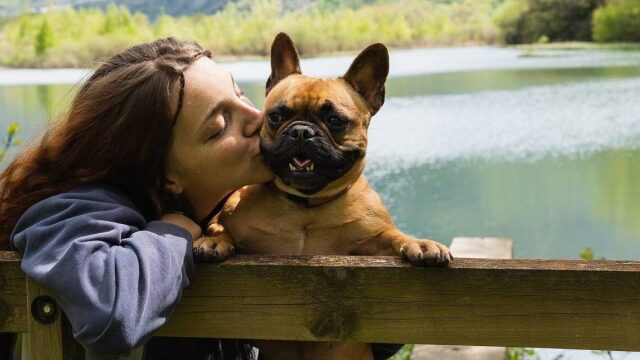 Τα 5 πράγματα που αισθάνονται περισσότερο οι σκύλοι όταν βρίσκονται κοντά μας