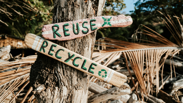 Οι Eco-innovators και οι οικολογικές ιδέες που δίνουν λύσεις