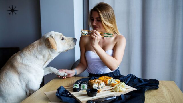 Σκύλος και θαλασσινά: Ποια μπορεί να φάει και ποια είναι επικίνδυνα για την υγεία του