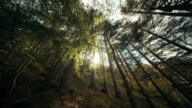 10+1 Περιοχές NATURA 2000 στην Ελλάδα
