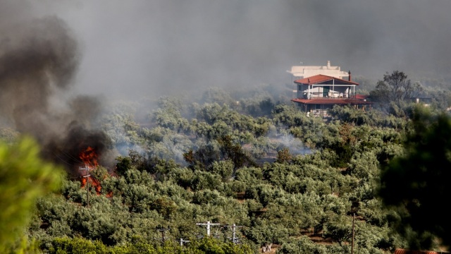 Φωτιά στη Βοιωτία: 112 για εκκένωση της Λιβαδόστρας - Σε απόσταση 10 μέτρων από τα σπίτια οι φλόγες, λέει ο πρόεδρος Λεύκτρων