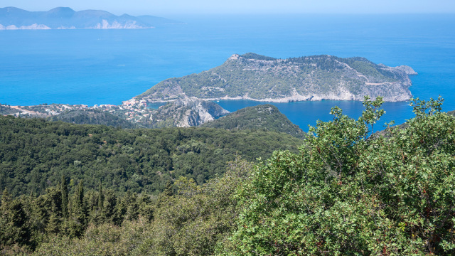 Η χαλέπιος πεύκη στο δάσος της Σίβηρης έχει τη δύναμη να ξαναγίνει δάσος, λέει καθηγητής του ΑΠΘ