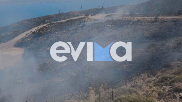 Οριοθετήθηκε η φωτιά στην Κάρυστο
