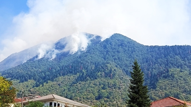 Όγδοη ημέρα μάχης με τη μεγάλη φωτιά στην Κόνιτσα, καίει πυκνό δάσος, σηκώθηκαν τα εναέρια μέσα