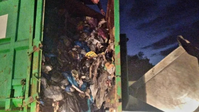 Απίστευτη διάσωση στη Ρόδο: Δύο μικρά γατάκια είχαν εγκλωβιστεί μέσα σε κοντέινερ απορριμμάτων