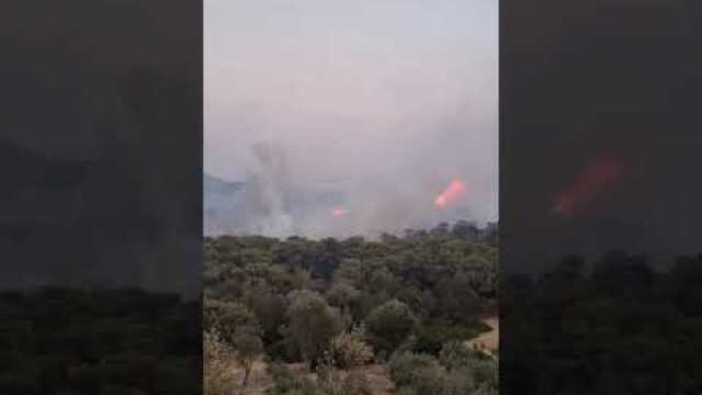 Παλαιά Φώκαια (4)