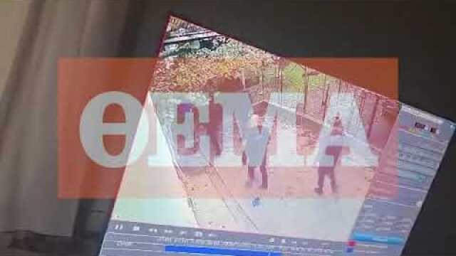 Νέο βίντεο λίγο μετά από την επίθεση του ροτβάιλερ στην Καλαμάτα