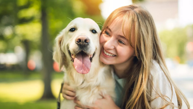 Πώς δείχνουν οι σκύλοι χαρά προς τον άνθρωπό τους;