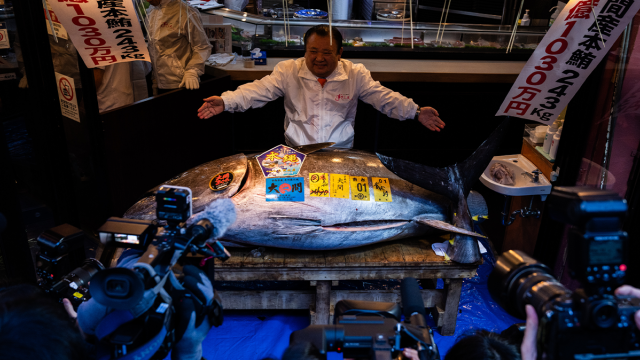 Τόνος πουλήθηκε σε τιμή ρεκόρ 2,7 εκατ. ευρώ στο Τόκιο - Δείτε φωτογραφίες