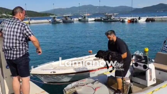 Βίντεο: Στα ανοιχτά της Γλύφας κατέληξε σκύλος, τον έσωσαν με σκάφος
