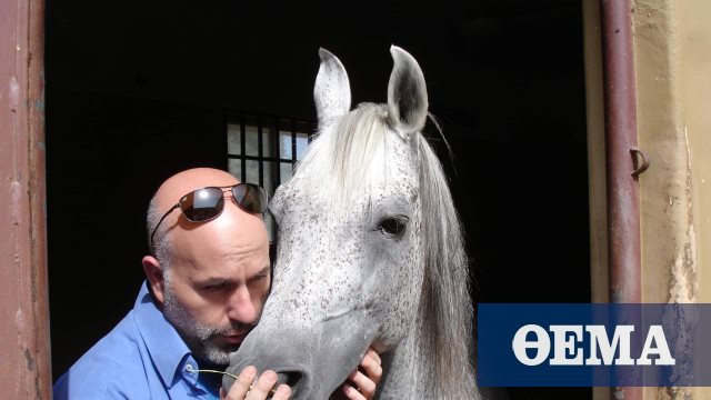 Ένας Έλληνας φροντίζει τα άλογα του Σουλτάνου του Ομάν