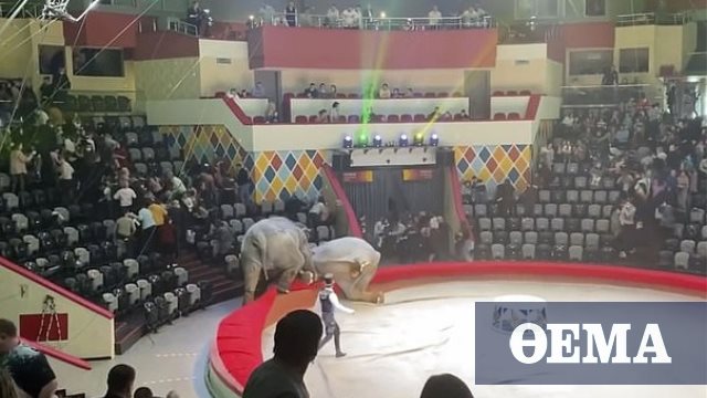 Τρόμος σε τσίρκο από μονομαχία ελεφάντων που τρελάθηκαν-Δείτε βίντεο