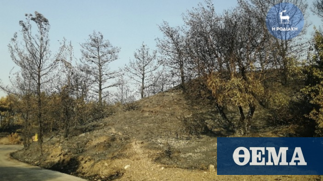 Φωτιές στην Ελλάδα – Καιρός: Αυξημένα μέτρα επιφυλακής στη Ρόδο