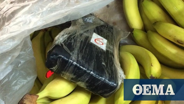 Ελεύθεροι άνευ όρων οι κατηγορούμενοι για τα 100 κιλά κοκαΐνη σε εμπορευματοκιβώτιο με μπανάνες