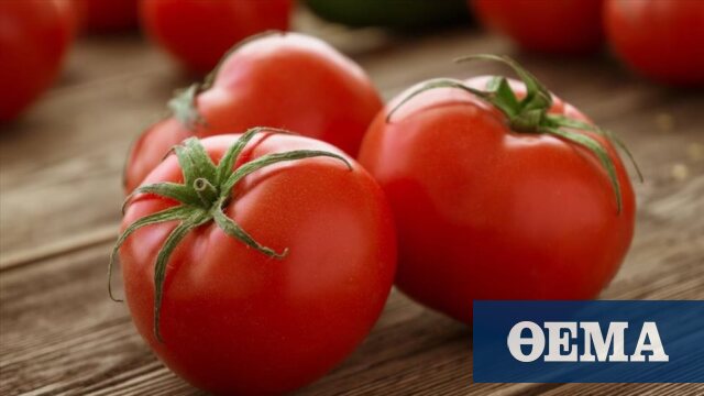 Επιστήμη: Δημιουργήθηκαν οι πρώτες σούπερ-ντομάτες που θα αναπληρώνουν την έλλειψη βιταμίνης D - Πρώτο Θέμα