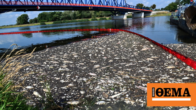 Περιβαλλοντική καταστροφή: Τα νεκρά ψάρια φτάνουν τους 100 τόνους στον ποταμό Όντερ!