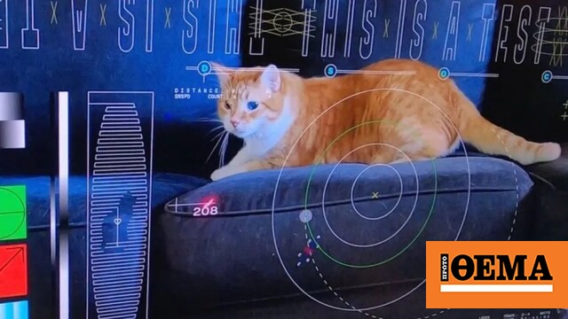 NASA tested laser communications by broadcasting video of cats from space
