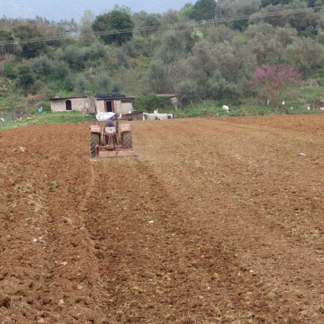 «Μαχαίρι» έως και 60% από τον ΕΦΚΑ για όσους συνταξιούχους δηλώνουν αγροτικό εισόδημα