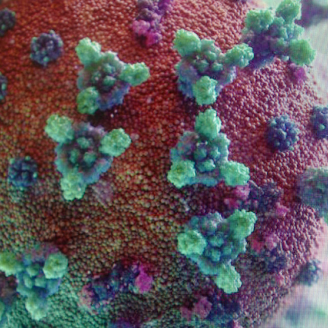 Deltacron: Το νέο στέλεχος του κορωνοϊού που τρομοκρατεί τους επιστήμονες