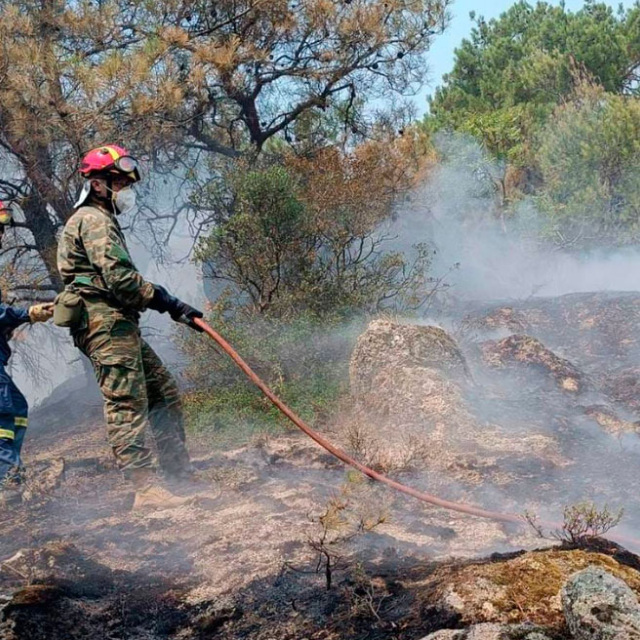 Φωτιά στον Έβρο: Εντοπίστηκαν 18 απανθρακωμένοι μετανάστες στο δάσος της Δαδιάς