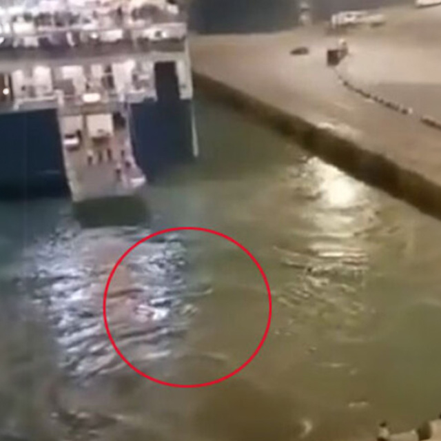 Blue Horizon: «Τον πνίξατε τον άνθρωπο, πού είναι ο καπετάνιος;» Συγκλονίζει η περιγραφή επιβάτιδας