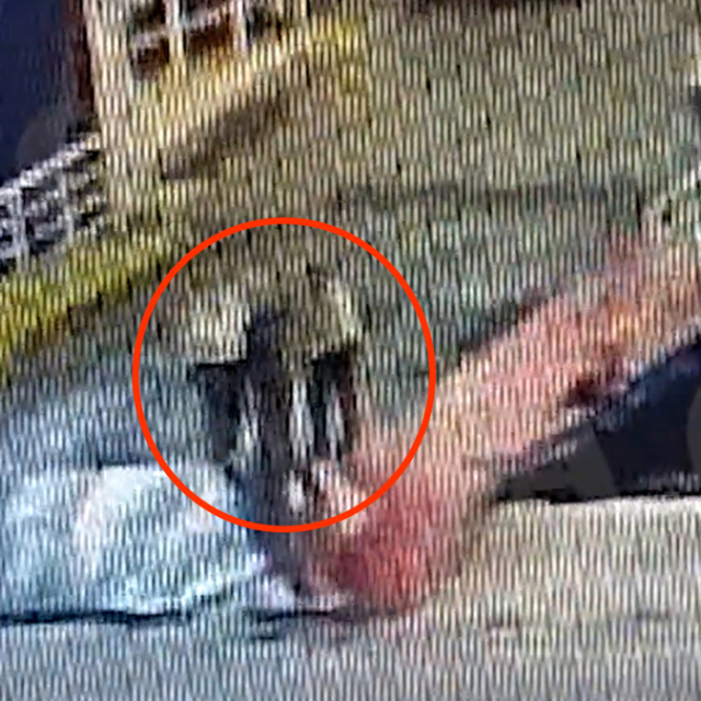 Δολοφονία στο Blue Horizon: Ξεσπά η αδελφή του 36χρονου Αντώνη - «Να σαπίσουν στη φυλακή»