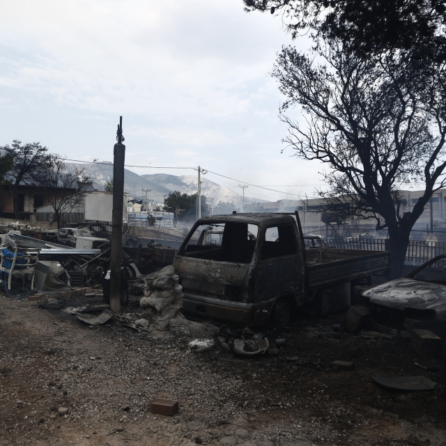 Πάρνηθα: Το Κοινωφελές Ίδρυμα Αθανάσιος Κ. Λασκαρίδης συνδράμει στην αναδάσωση πάνω από 11.000 καμένων στρεμμάτων 