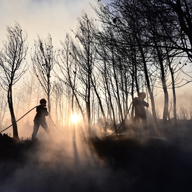 Τρεις συλλήψεις για εμπρησμό σε Ραφήνα, Σαλαμίνα και Πόρο