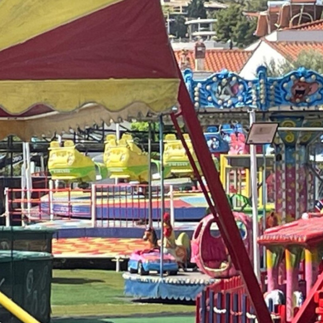 Χαλκιδική: Με ποινικό παρελθόν ο 21χρονος χειριστής, είχε συλληφθεί για κλοπή οχημάτων και ενδοοικογενειακή βία