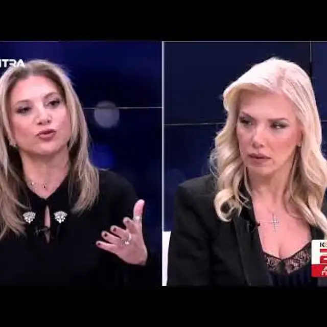 Μαρία Καρυστιανού: Η διάρθρωση του κόμματος και οι συμμετοχή των πολιτιών