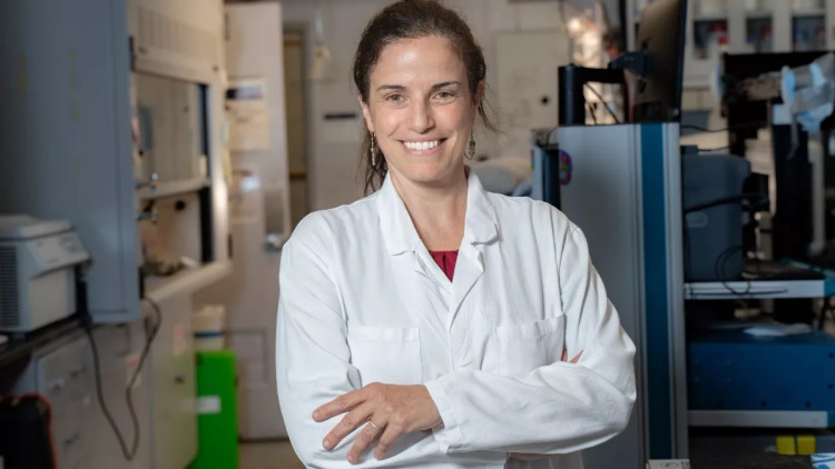 Η Ελληνίδα ερευνήτρια που ανοίγει τον δρόμο για θεραπεία του Αλτσχάιμερ με υπερήχους