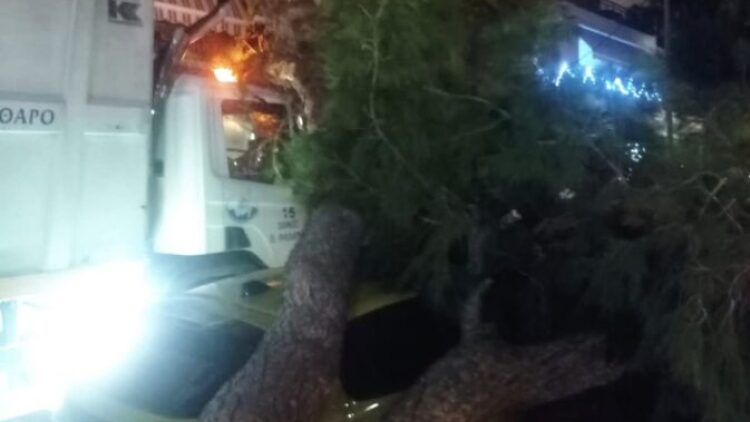 Μεγάλο πεύκο έπεσε σε απορριμματοφόρο και αυτοκίνητο στο Παλαιό Φάληρο, δείτε φωτογραφίες