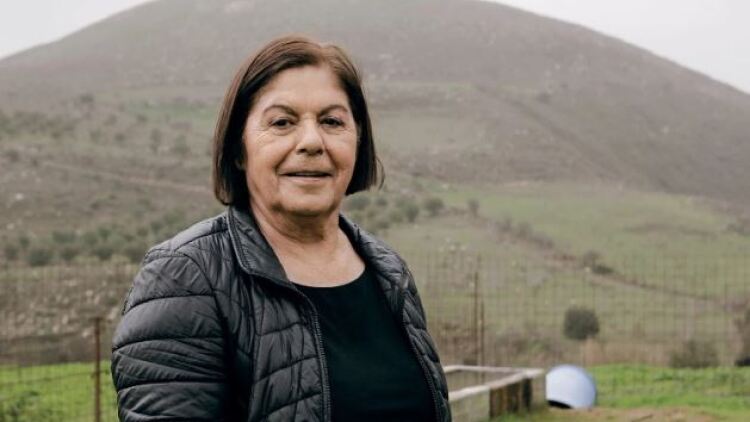 Λενιώ Βρέντζου, μια ζωή στους ελαιώνες και τα ζώα της σε χωριό της Κρήτης: «Δεν είχα κανέναν να με διαφεντεύει»
