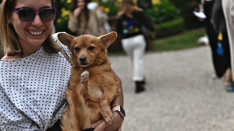 A Day with my Pet: Το Σάββατο 28/3 γιορτάζουμε στον Δήμο Αμαρουσίου τα τετράποδα φιλαράκια μας
