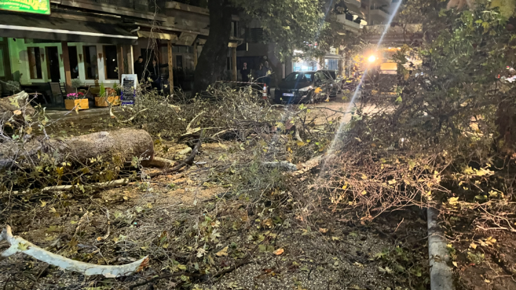 Κακοκαιρία: Προβλήματα από τις καταιγίδες σε Ήπειρο και Θεσπρωτία - Ζημιές από κεραυνούς σε σπίτια, στο Πάπιγκο τα μεγαλύτερα ύψη βροχής