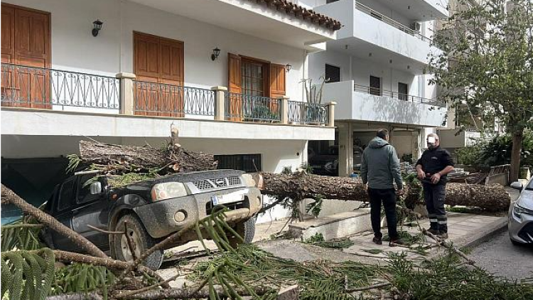 Προβλήματα από τους ισχυρούς ανέμους στην Κρήτη - Καθυστερήσεις πτήσεων στο «Ν.Καζαντζάκης», έπεσαν δέντρα στο Ρέθυμνο, άλλαξε η ώρα στο Καστρινό Καρναβάλι 
