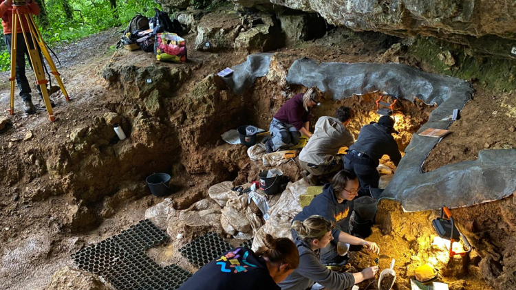 Γενετική ομοιομορφία των ύστερων Νεάντερταλ ίσως οδήγησε στην εξαφάνισή τους, αποκαλύπτει μελέτη Ελληνίδας ερευνήτριας