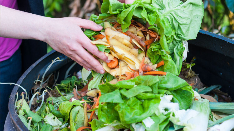 Φτώχεια και σπατάλη τροφίμων στην Ελλάδα «δύο ταχυτήτων»