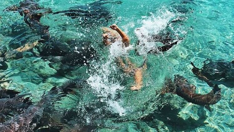 The shocking moment a model is attacked by sharks (photos)