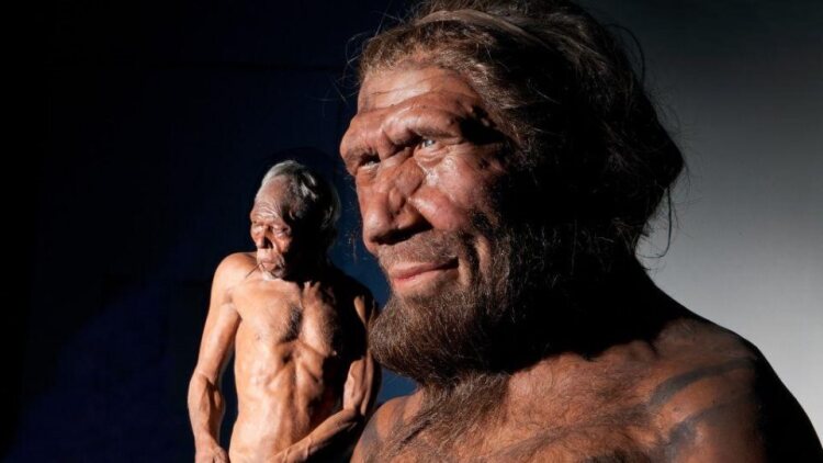 Οργανωμένη γραμμή παραγωγής πριν από 125.000 χρόνια: Νέα ευρήματα δείχνουν ότι οι Νεάντερταλ διαχειρίζονταν συστηματικά τους πόρους τους