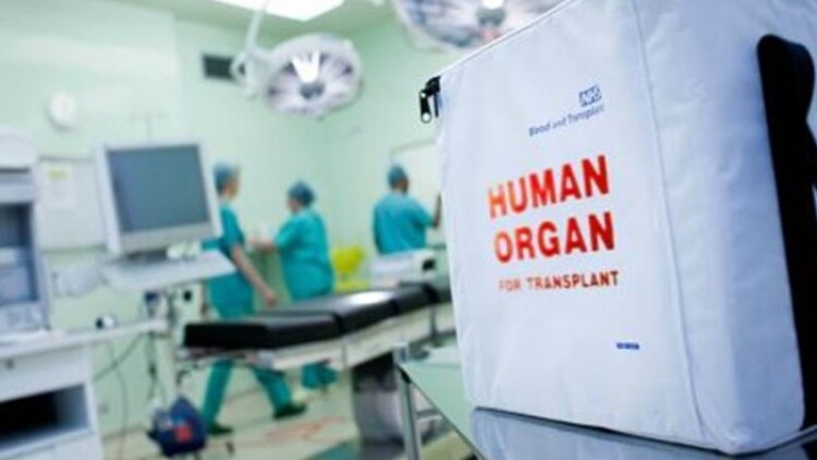 Νεκρός 40χρονος που παρασύρθηκε από ΙΧ στη Νίκαια, δώρισε τα όργανα η οικογένεια