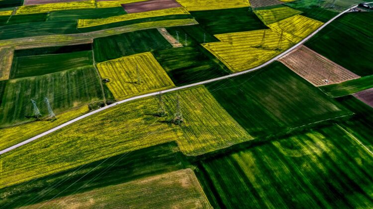 Εγκύκλιος διευκρινίζει πώς θα γίνει η πληρωμή αγροτεμαχίων έως 20 στρέμματα παρά τα ζητήματα ΚΑΕΚ