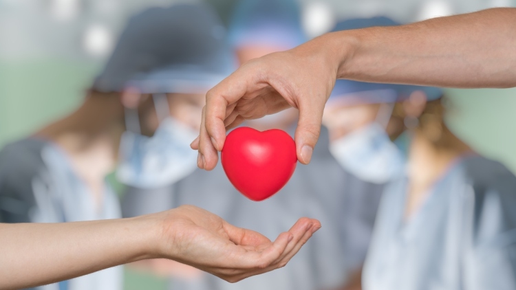 Να το κάνουν και άλλες μανάδες όσο δύσκολο και αν είναι, λέει η μητέρα του Χριστόφορου που δώρισε τα όργανα μετά από τροχαίο