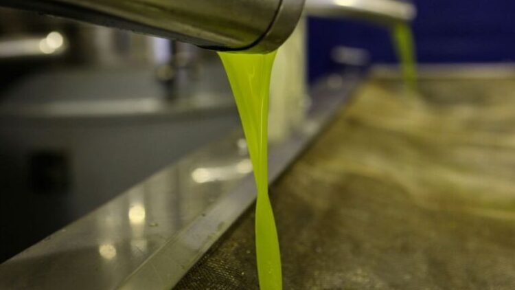 Έκλεψε πάνω από 800 κιλά ελαιόλαδο και 35 κιλά μέλι από αποθήκες στην Αττική, συνελήφθη 48χρονος 