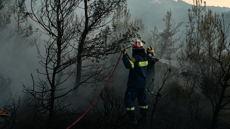 «Δεν ανάβουμε φωτιά για κανέναν λόγο»: Έκκληση από τον εκπρόσωπο της Πυροσβεστικής, ακραίος ο κίνδυνος πυρκαγιάς σήμερα για έξι περιοχές