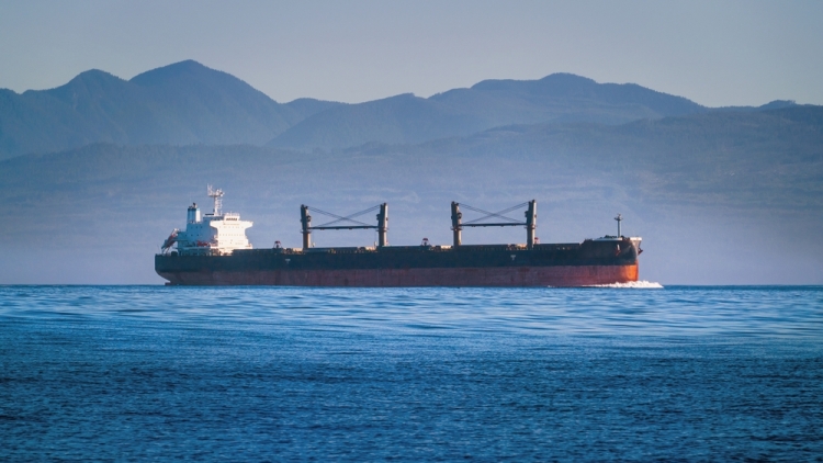 Diana Shipping: Απέσυρε την πρόταση για τη Genco – Έβαλε τέλος στη διεκδίκηση, αλλά παραμένει ο μεγαλύτερος μέτοχος