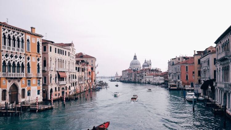 Εκατοντάδες ψάρια ξεβράστηκαν στους δρόμους της Βενετίας, δείτε βίντεο