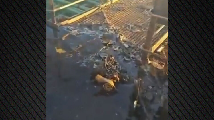 Οι Ουκρανοί κατηγορούν τους Ρώσους ότι επιτέθηκαν με drone σε τουρκικό εμπορικό πλοίο στη Μαύρη Θάλασσα, δείτε βίντεο