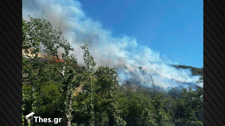 Φωτιά στα Πεύκα Θεσσαλονίκης, 112 στους κατοίκους: Επιχειρούν αεροσκάφη και ελικόπτερο