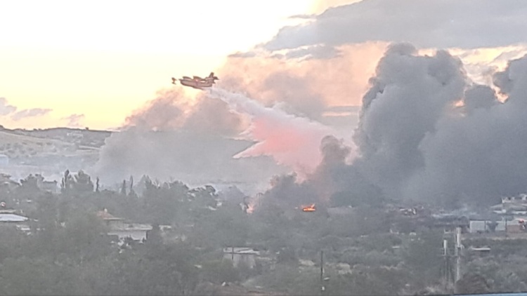 Καλύτερη η εικόνα μετά την ολονύχτια μάχη με τη φωτιά στο Ωραιόκαστρο: Κάηκαν εργοστάσια και βιοτεχνίες, σώθηκαν τα σπίτια στη Φιλοθέη